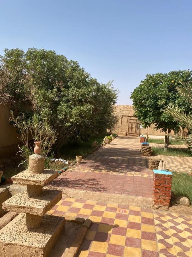 Gite D Etape Khettara Oasis 에라시디아 외부 사진