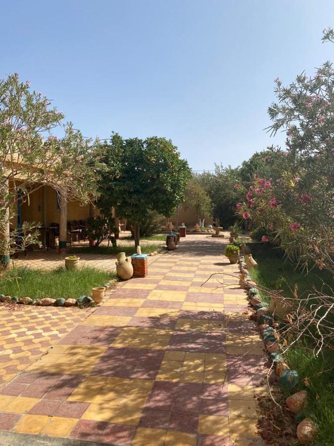 Gite D Etape Khettara Oasis 에라시디아 외부 사진